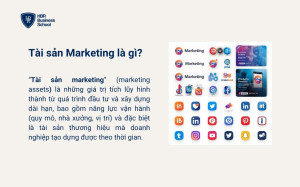 Tài sản Marketing là gì?