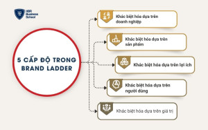 5 cấp độ trong Brand Ladder