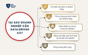 Tại sao doanh nghiệp cần Data-Driven CX?
