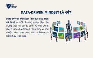 Data-Driven Mindset là gì?