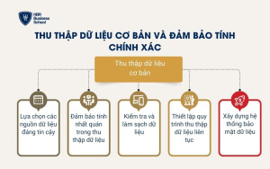Thu thập dữ liệu cơ bản và đảm bảo tính chính xác