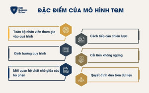Đặc điểm của mô hình TQM