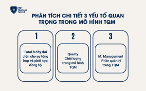 Phân tích chi tiết 3 yếu tố quan trọng trong mô hình TQM
