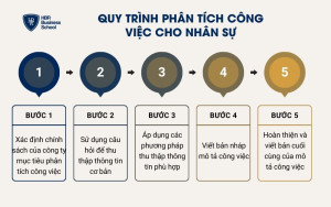 Quy trình phân tích công việc cho nhân sự
