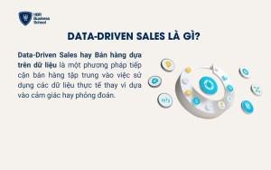 Data-Driven Sales là gì?