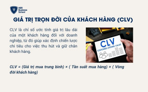Giá trị trọn đời của khách hàng (CLV)