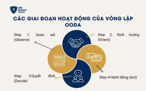 Các giai đoạn hoạt động của vòng lặp OODA