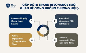 Cấp độ 4: Brand Resonance (Mối quan hệ cộng hưởng thương hiệu)