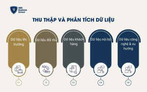 Thu thập và phân tích dữ liệu