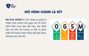 Mô hình OGSM là gì?