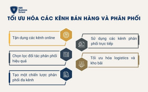 Tối ưu hóa các kênh bán hàng và phân phối