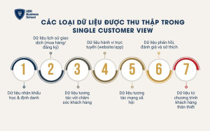 Các loại dữ liệu được thu thập