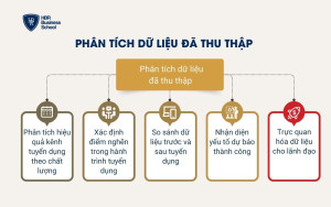 Phân tích dữ liệu đã thu thập