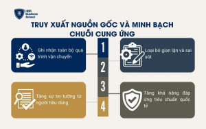 Truy xuất nguồn gốc và minh bạch chuỗi cung ứng