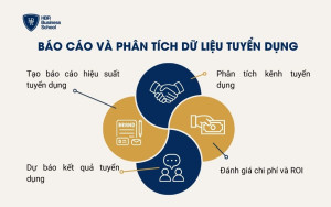 Báo cáo và phân tích dữ liệu tuyển dụng