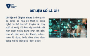 Dữ liệu số là gì?