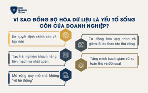 Vì sao đồng bộ hóa dữ liệu là yếu tố sống còn của doanh nghiệp?