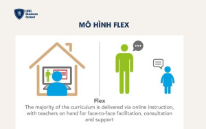 Mô hình Flex