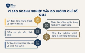 Vì sao doanh nghiệp cần đo lường chỉ số CES?