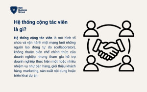 Hệ thống cộng tác viên là gì?