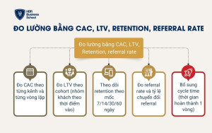 Đo lường bằng CAC, LTV, Retention, referral rate