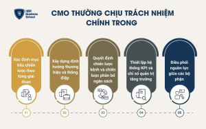 . CMO: Xây dựng tầm nhìn và điều phối chiến lược marketing tổng thể