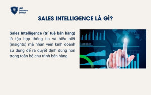 Sales Intelligence là gì?