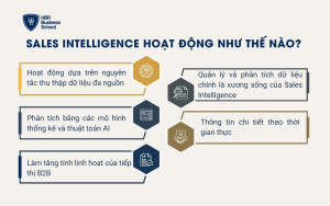 3. Sales Intelligence hoạt động như thế nào?
