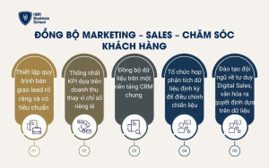 Đồng bộ Marketing – Sales – Chăm sóc khách hàng