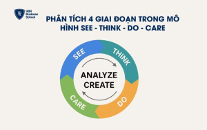Phân tích 4 giai đoạn trong mô hình See - Think - Do - Care