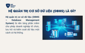 Hệ quản trị cơ sở dữ liệu (DBMS) là gì?