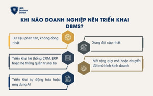 Khi nào doanh nghiệp nên triển khai DBMS?