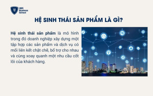 Hệ sinh thái sản phẩm là gì?