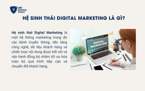 Hệ sinh thái Digital Marketing là gì?