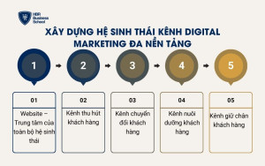 Xây dựng hệ sinh thái kênh Digital Marketing đa nền tảng