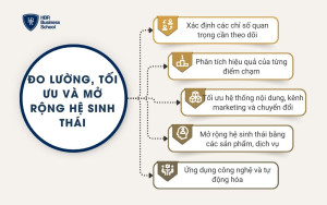 Đo lường, tối ưu và mở rộng hệ sinh thái