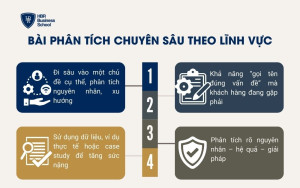 Bài phân tích chuyên sâu theo lĩnh vực