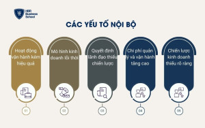 Các yếu tố nội bộ