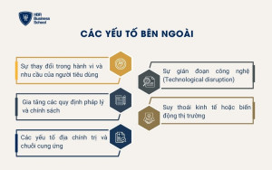 Các yếu tố bên ngoài