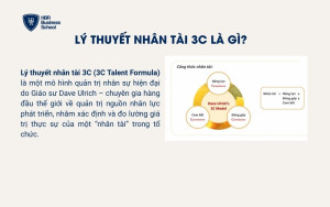 Lý thuyết nhân tài 3C là gì?