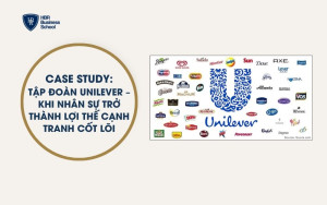 Case study thực tế: Doanh nghiệp thành công với mô hình 3C