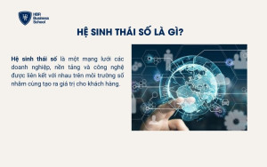 Hệ sinh thái số là gì?