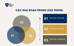 Các giai đoạn trong Lead Funnel
