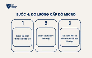 Bước 4: Đo lường cấp độ Micro