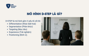 Mô hình D-STEP là gì?