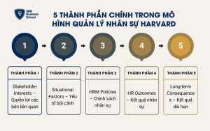5 thành phần chính trong mô hình quản lý nhân sự Harvard