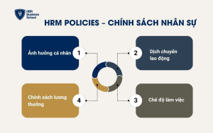 HRM Policies – Chính sách nhân sự