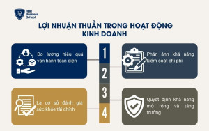 Lợi nhuận thuần trong hoạt động kinh doanh