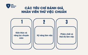 Các tiêu chí đánh giá nhân viên thử việc chuẩn