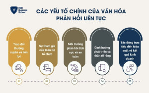 Các yếu tố chính của văn hóa phản hồi liên tục